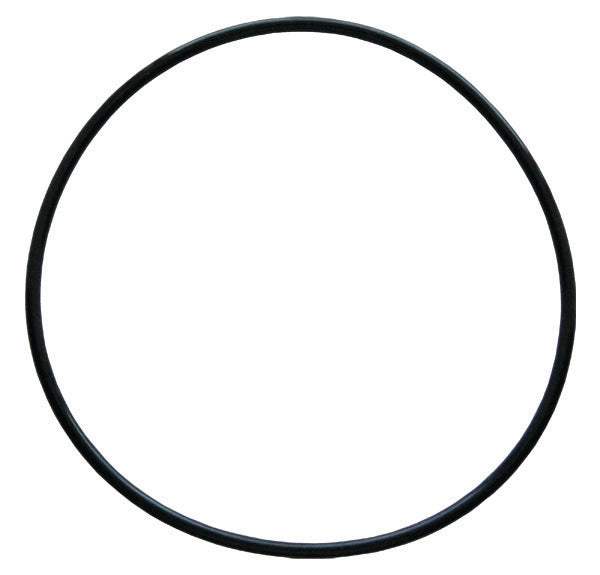 PW-151122 - O-Ring for BWT Deionizer Housing